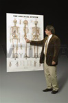 The Skeletal System Giant Anatomical Chart